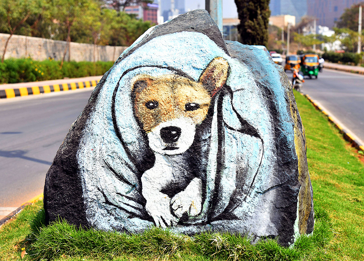 Wild Animals in Hyderabad Roads 23