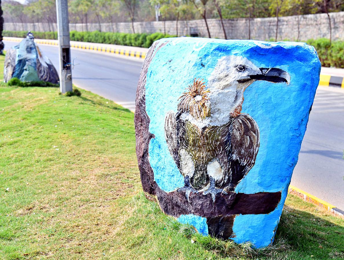 Wild Animals in Hyderabad Roads 24