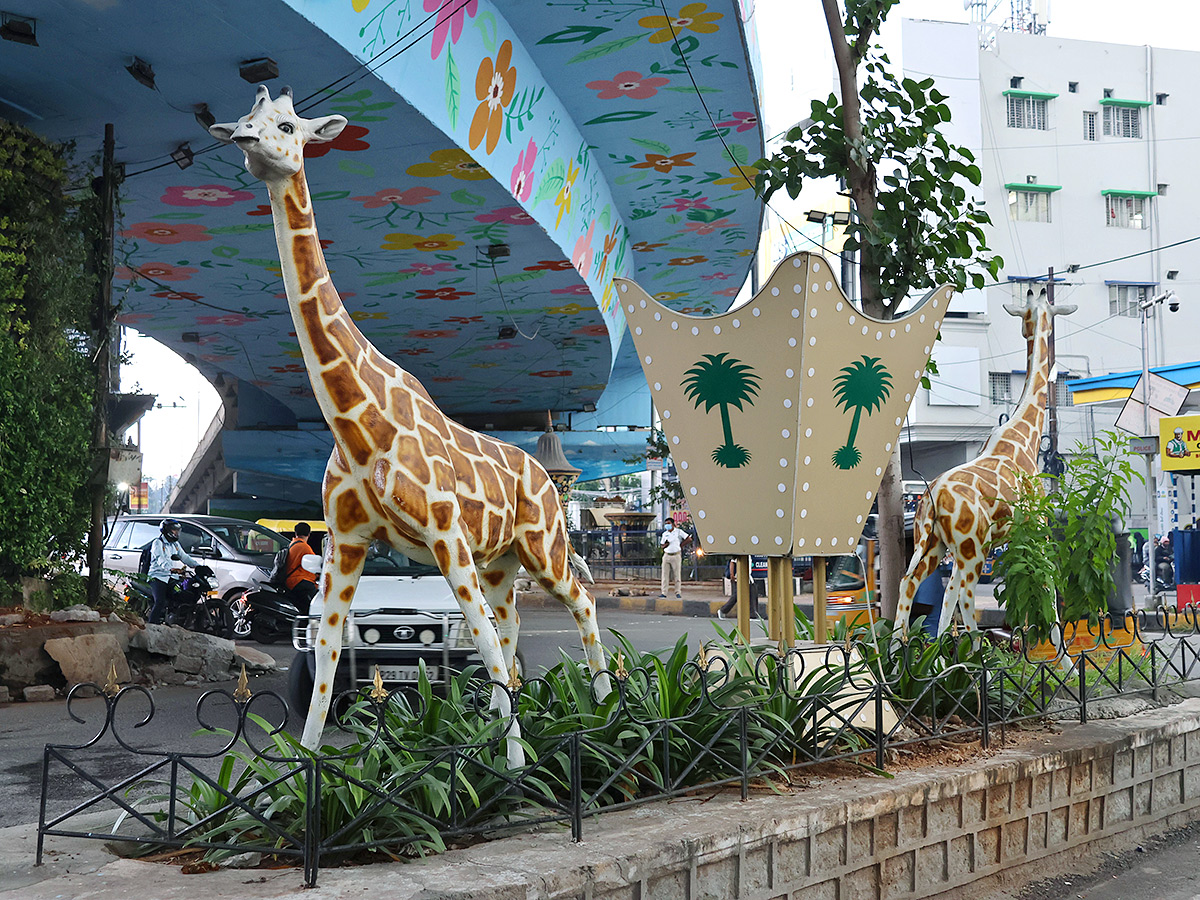 Wild Animals in Hyderabad Roads 3