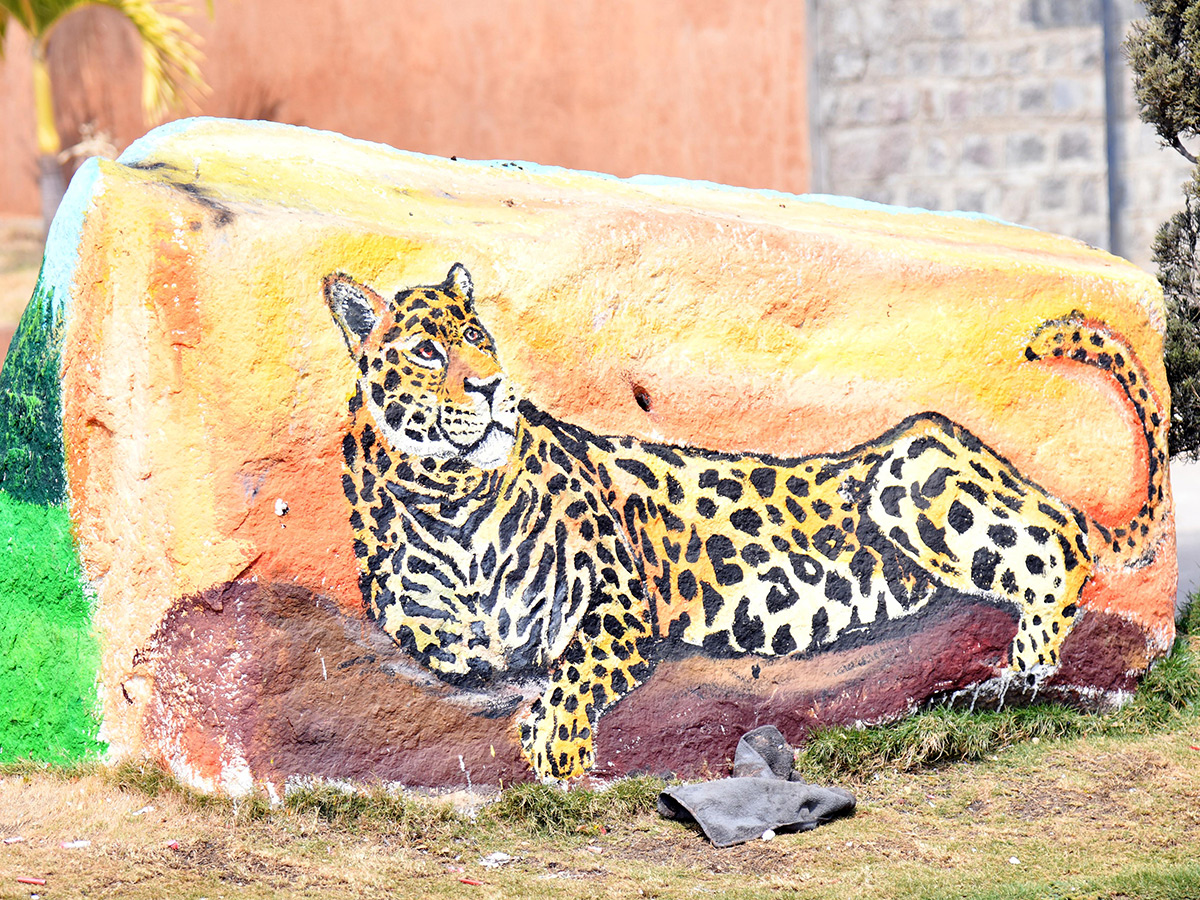 Wild Animals in Hyderabad Roads 5