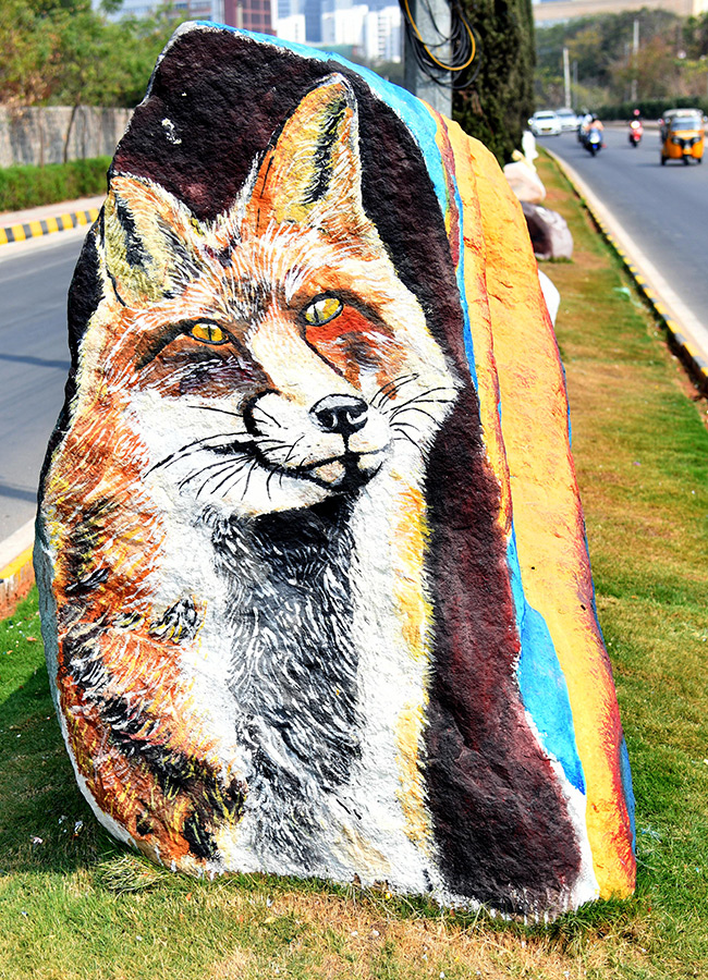 Wild Animals in Hyderabad Roads 7