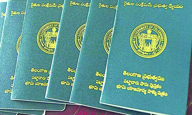 తిరుమలగిరి సాగర్‌ మండలంలో భూములపై హక్కులు 2
