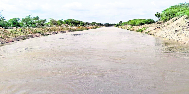 Krishna water running in the Handriniva canal near Krishagiri1