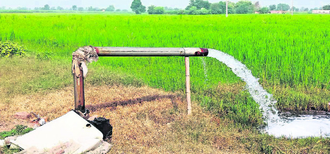 ● ఉచిత విద్యుత్తో సాగు భరోసా.. 1