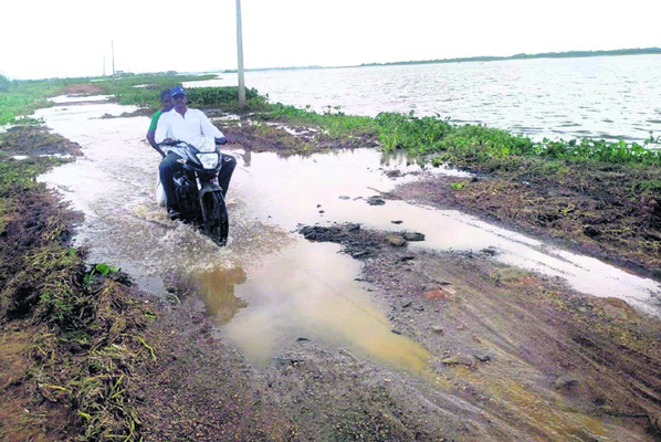 గుర్రపుడెక్క.. తీసేయాలి పక్కా.. 1