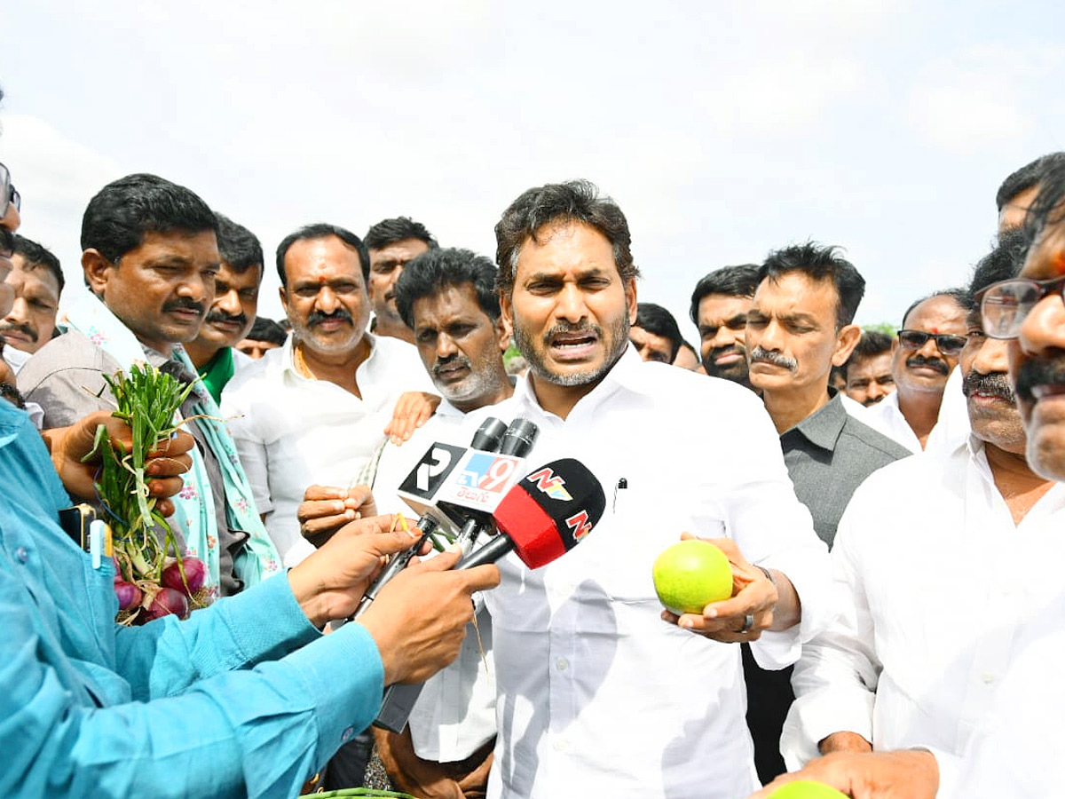 YS Jagan Visits Onion And Cheeni Farmers Photos 4