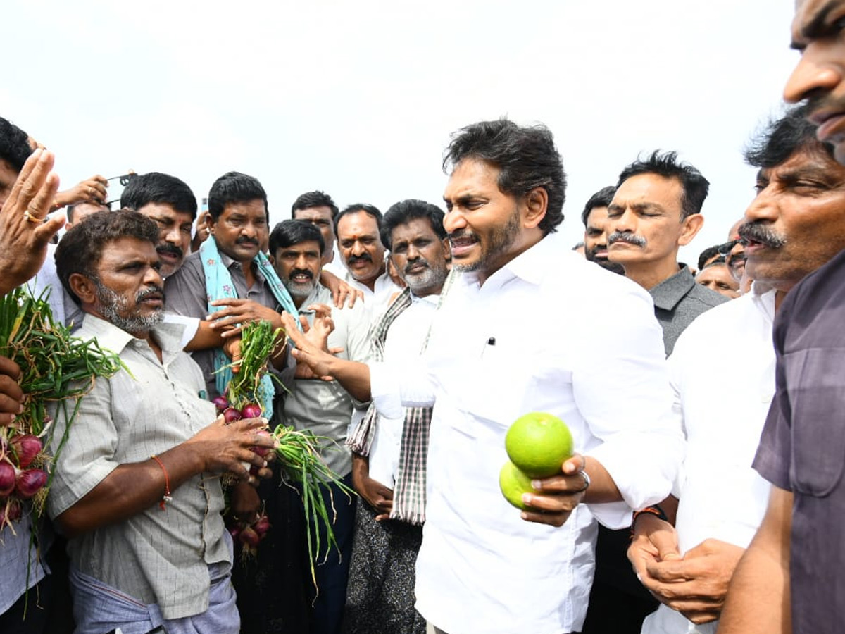 YS Jagan Visits Onion And Cheeni Farmers Photos 2