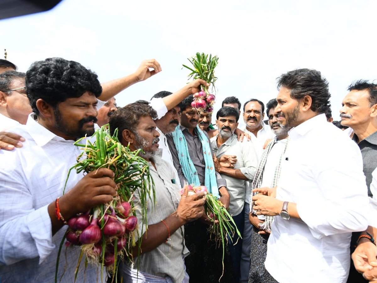 YS Jagan Visits Onion And Cheeni Farmers Photos 1