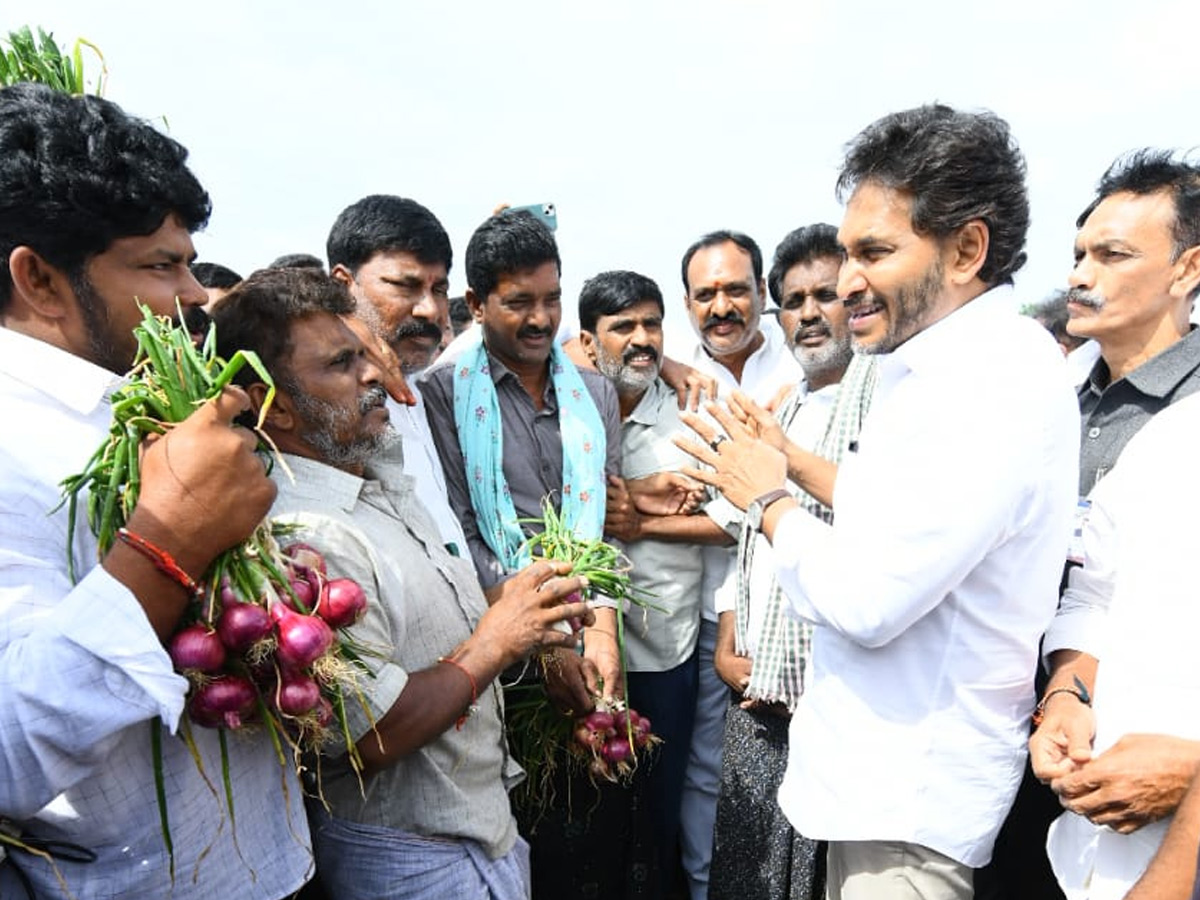 YS Jagan Visits Onion And Cheeni Farmers Photos 5