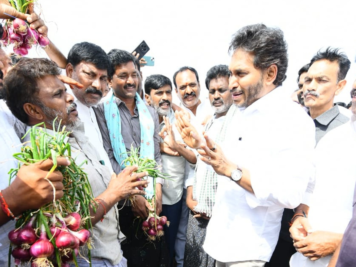 YS Jagan Visits Onion And Cheeni Farmers Photos 6