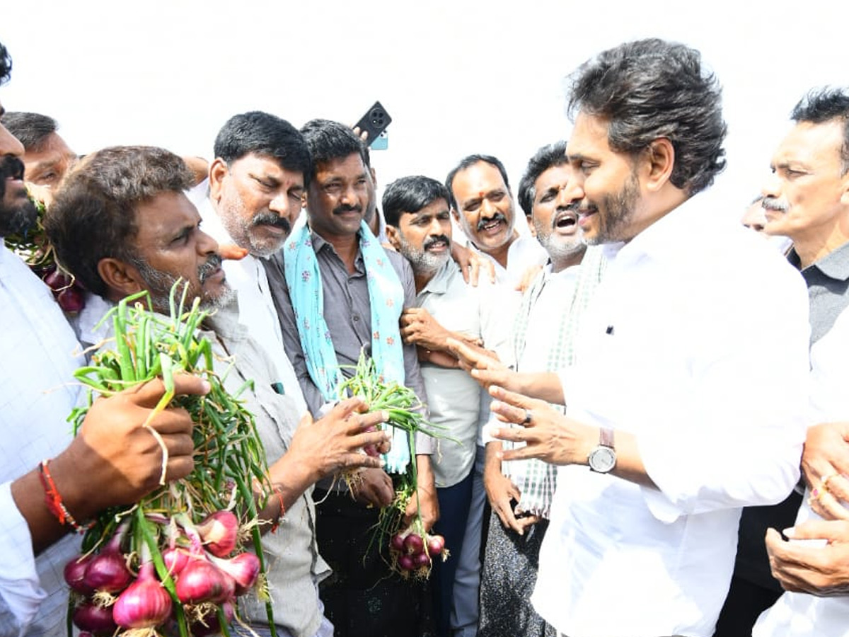YS Jagan Visits Onion And Cheeni Farmers Photos 7