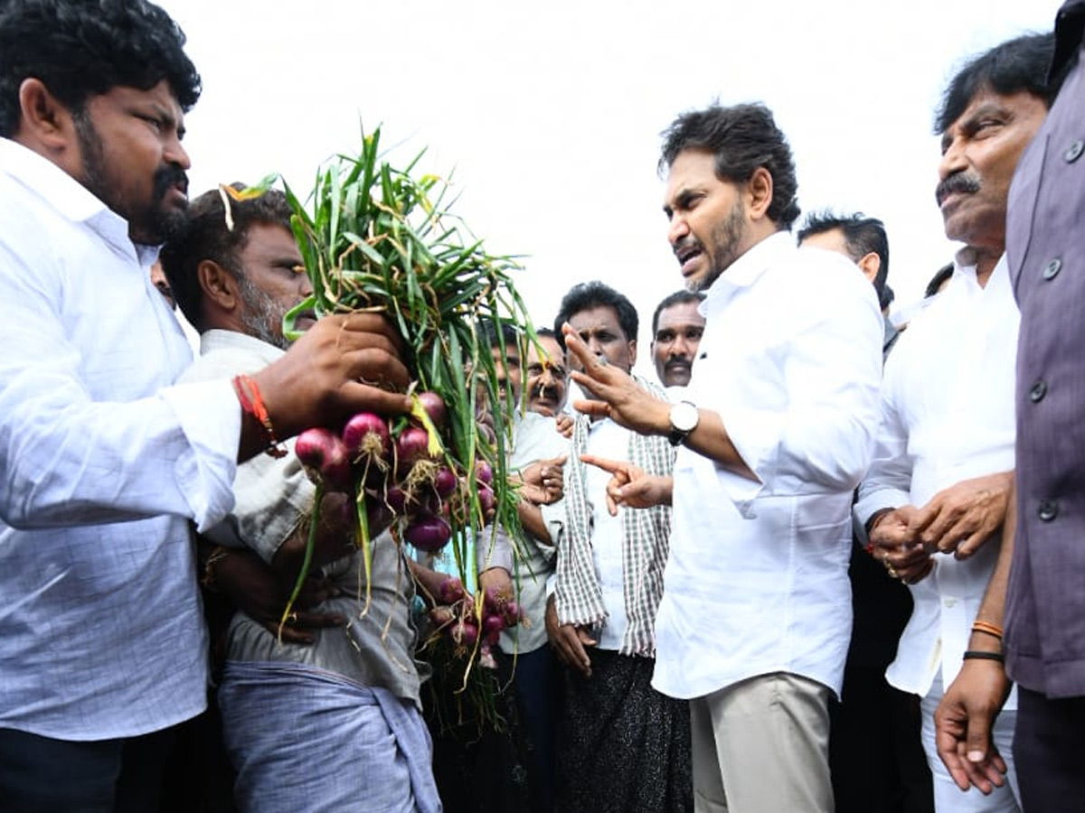 YS Jagan Visits Onion And Cheeni Farmers Photos 8