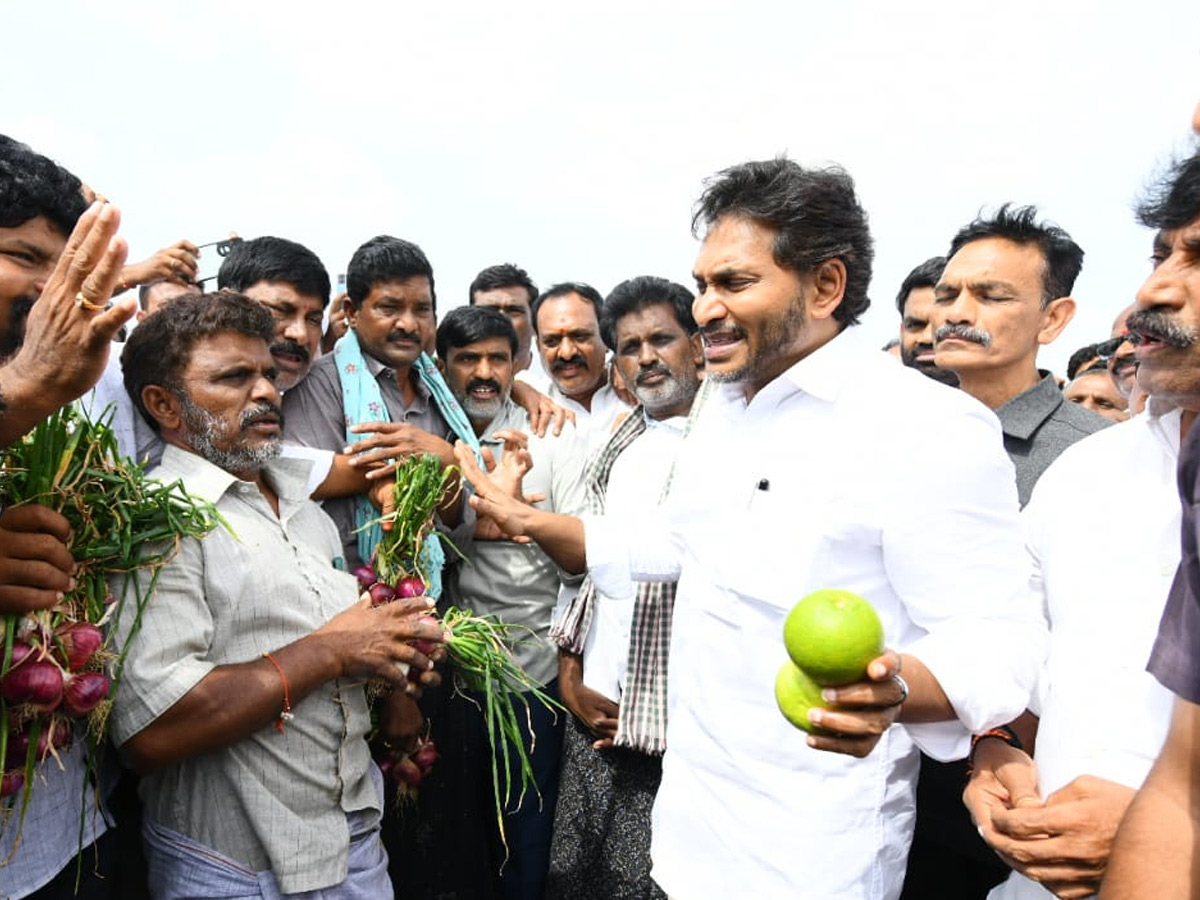 YS Jagan Visits Onion And Cheeni Farmers Photos 9