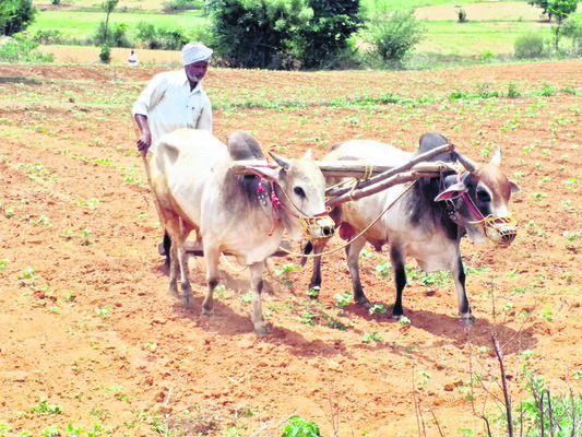 రైతులకు పింఛన్‌ 1