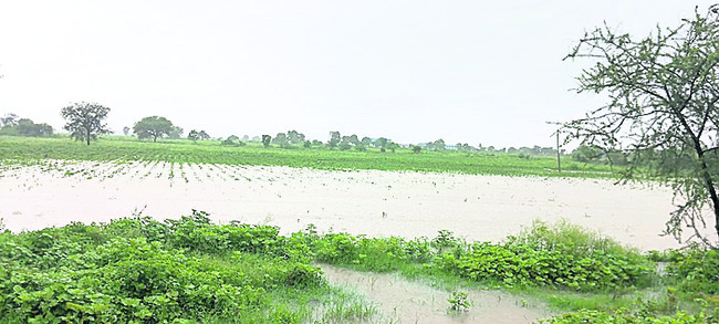 నిర్మల్1