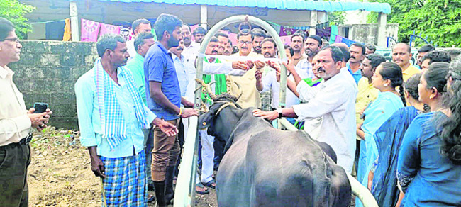 పనులు త్వరగా పూర్తి చేయాలి2