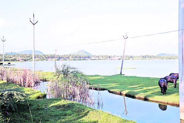 న్యాయం కావాలి1