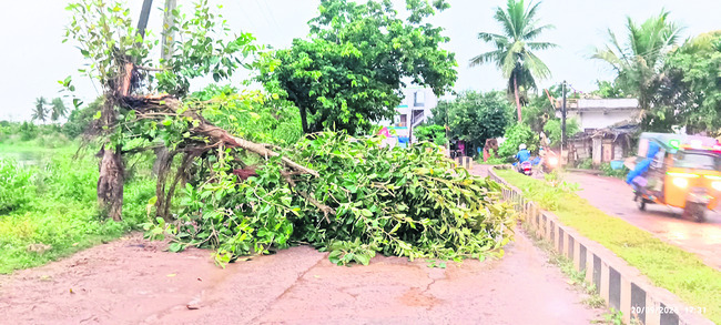 దంచి కొట్టిన వాన 2