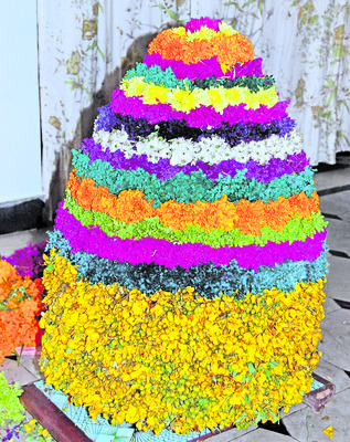 పూల సింగిడి5