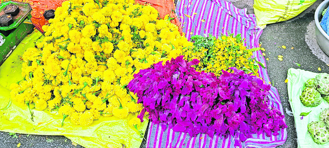 పూల సింగిడి1