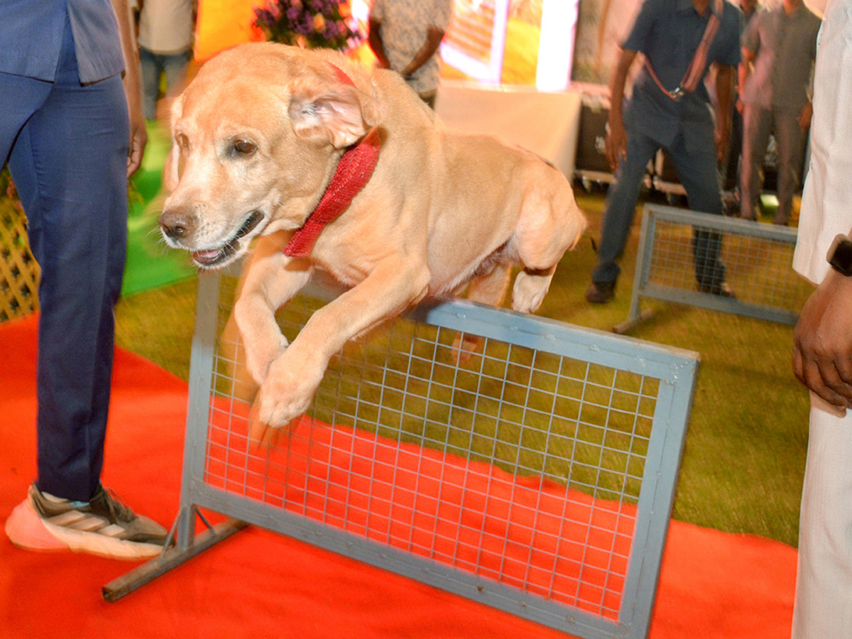 Best Photos of The Week in AP and Telangana Photo Gallery10