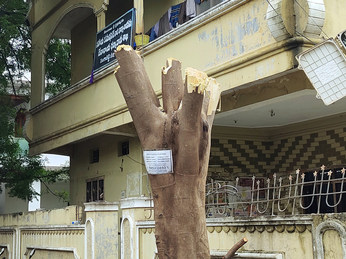 Best Photos of The Week in AP and Telangana Photo Gallery15