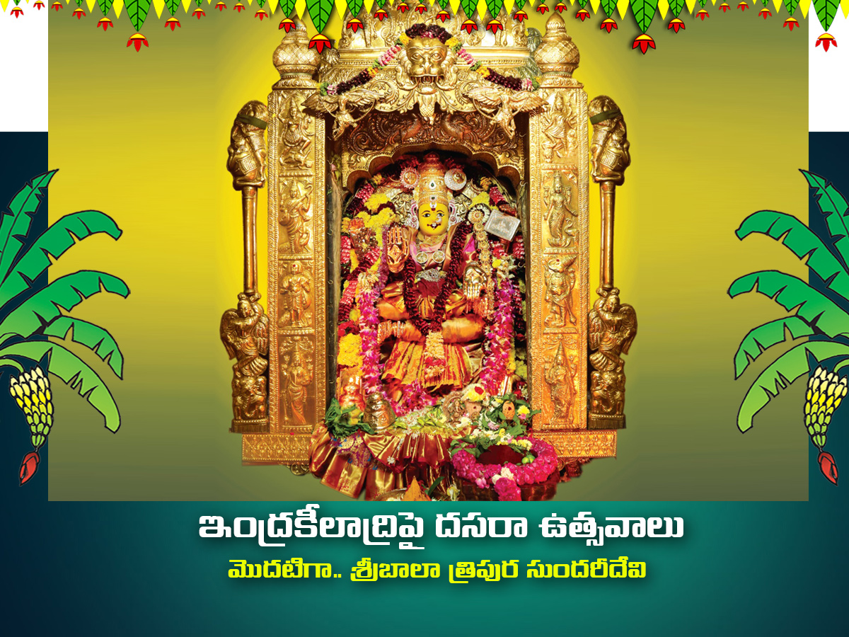 Dussehra Celebration 2025 in Vijayawada Photos2