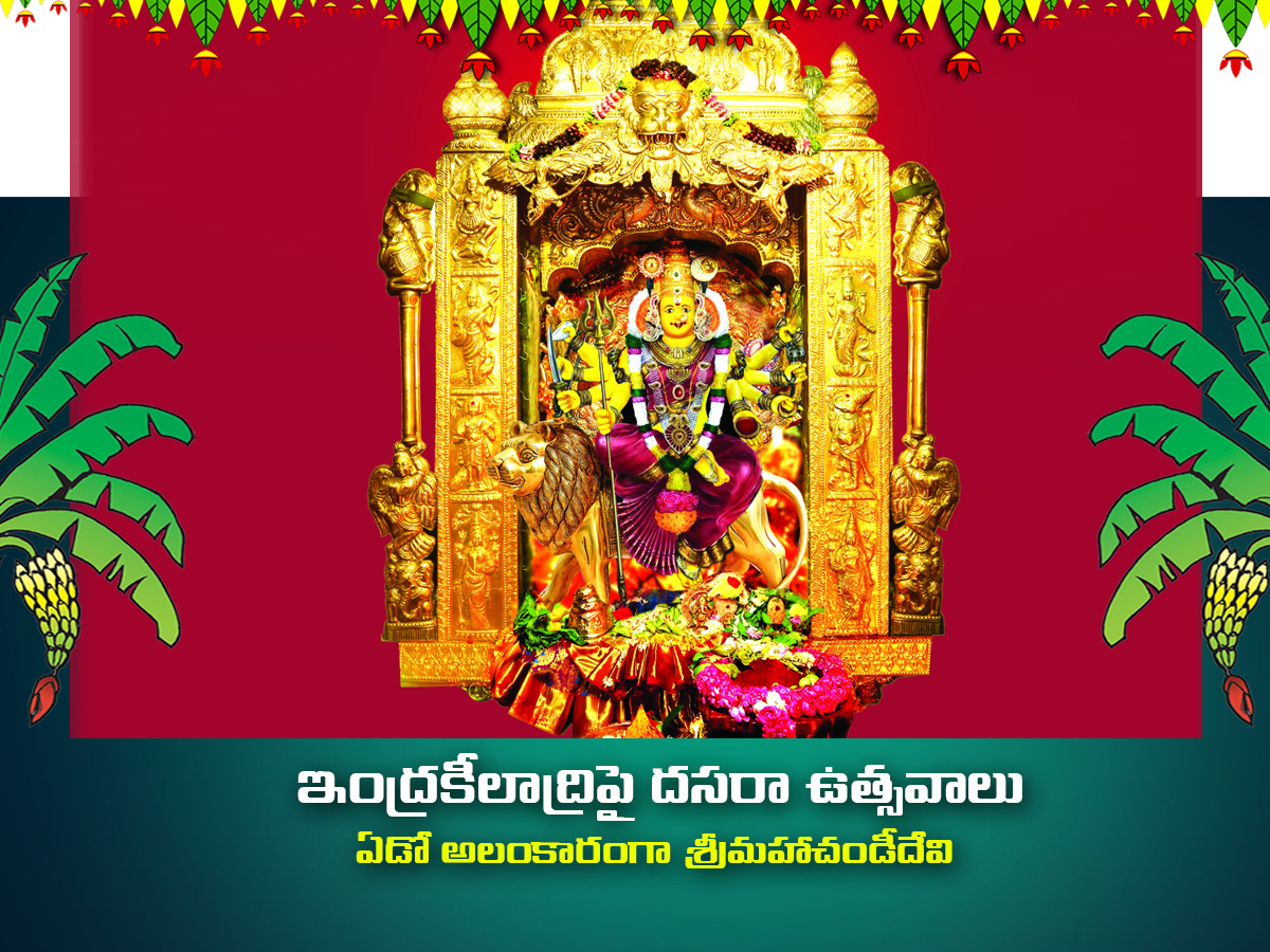 Dussehra Celebration 2025 in Vijayawada Photos8
