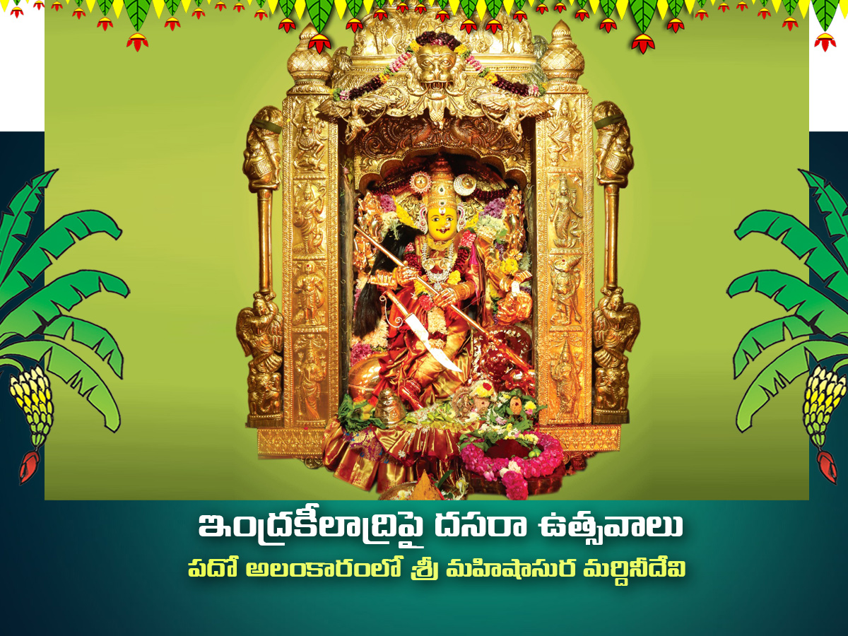 Dussehra Celebration 2025 in Vijayawada Photos11