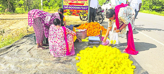 పూలతోట.. సిరుల పంట 1