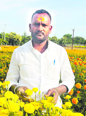 పూలతోట.. సిరుల పంట 3