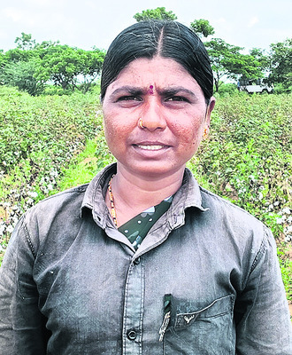 పూత రాలింది.. 
1