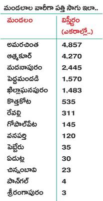 అధిక వర్షాలతో దెబ్బతిన్న పంట 2
