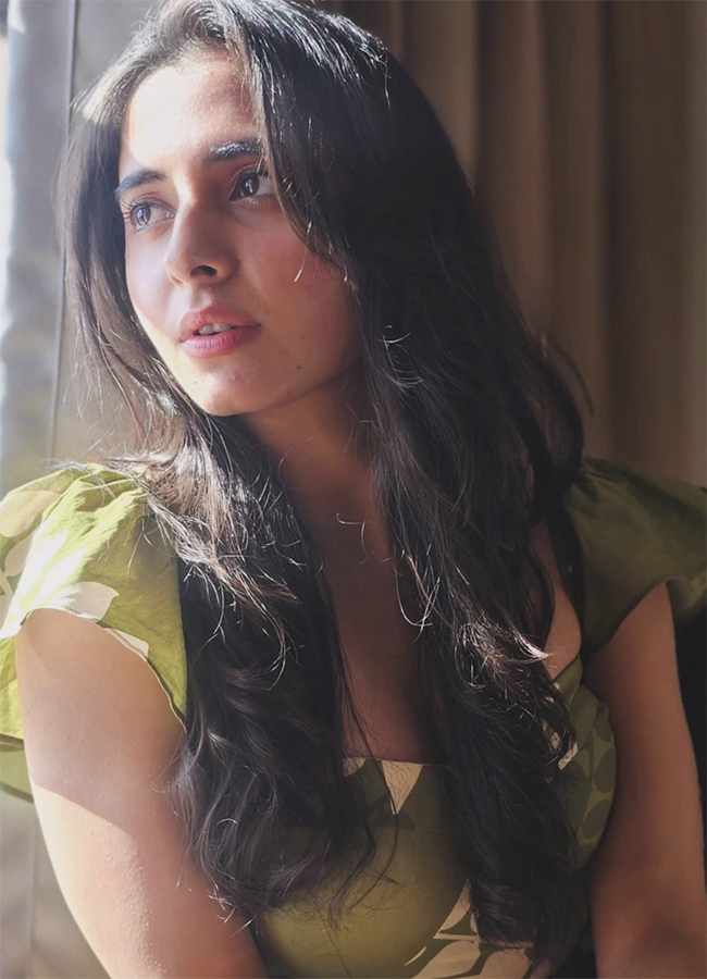 Tollywood Actress Preethi Asrani Latest Photos5