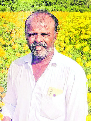 బంతి పూల సోయగం1