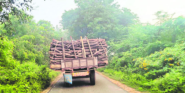 కూటమి దొంగలు1