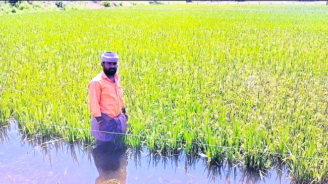 పరిహారం.. పరిహాసం2