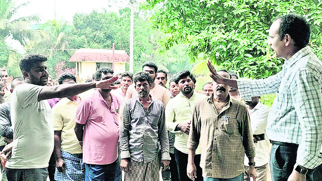 ఆయిల్పామ్ రైతులకు అగచాట్లు !1