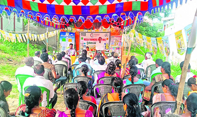 యూరియా వాడకం  తగ్గించాలి  1