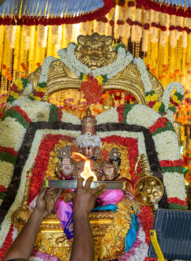 Devotional : Tirumala Srivari Salakatla Brahmotsavam 2025 Photos 8