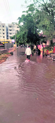 నగరానికి ‘షాడో’ పీడ 1