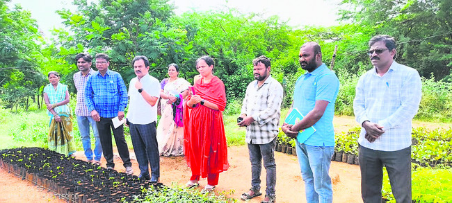 నర్సరీ పరిశీలన1