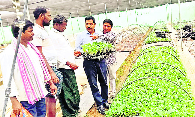బతుకమ్మ సంబురాలు విజయవంతం చేయాలి
1