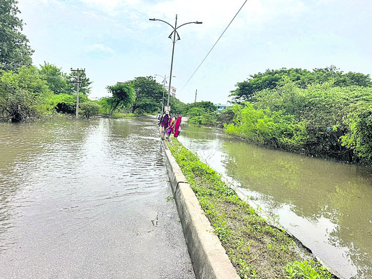 బాసరకు మళ్లీ బ్యాక్‌బాటర్‌ 2