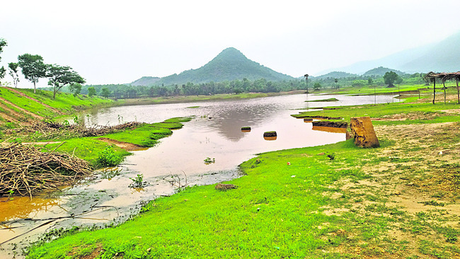 వెర్రిగెడ్డ ఆనకట్టకు గండి1