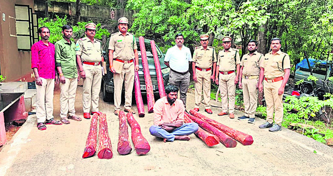 తొమ్మిది మంది తమిళ స్మగ్లర్ల్ల అరెస్టు1