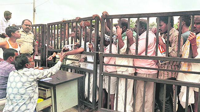 యూరియా మహాప్రభో..!1