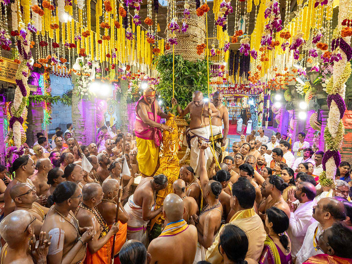 Tirumala Pedda Sesha Vahanam of Srivari Salakatla Brahmotsavams15