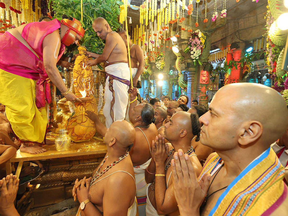 Tirumala Pedda Sesha Vahanam of Srivari Salakatla Brahmotsavams17
