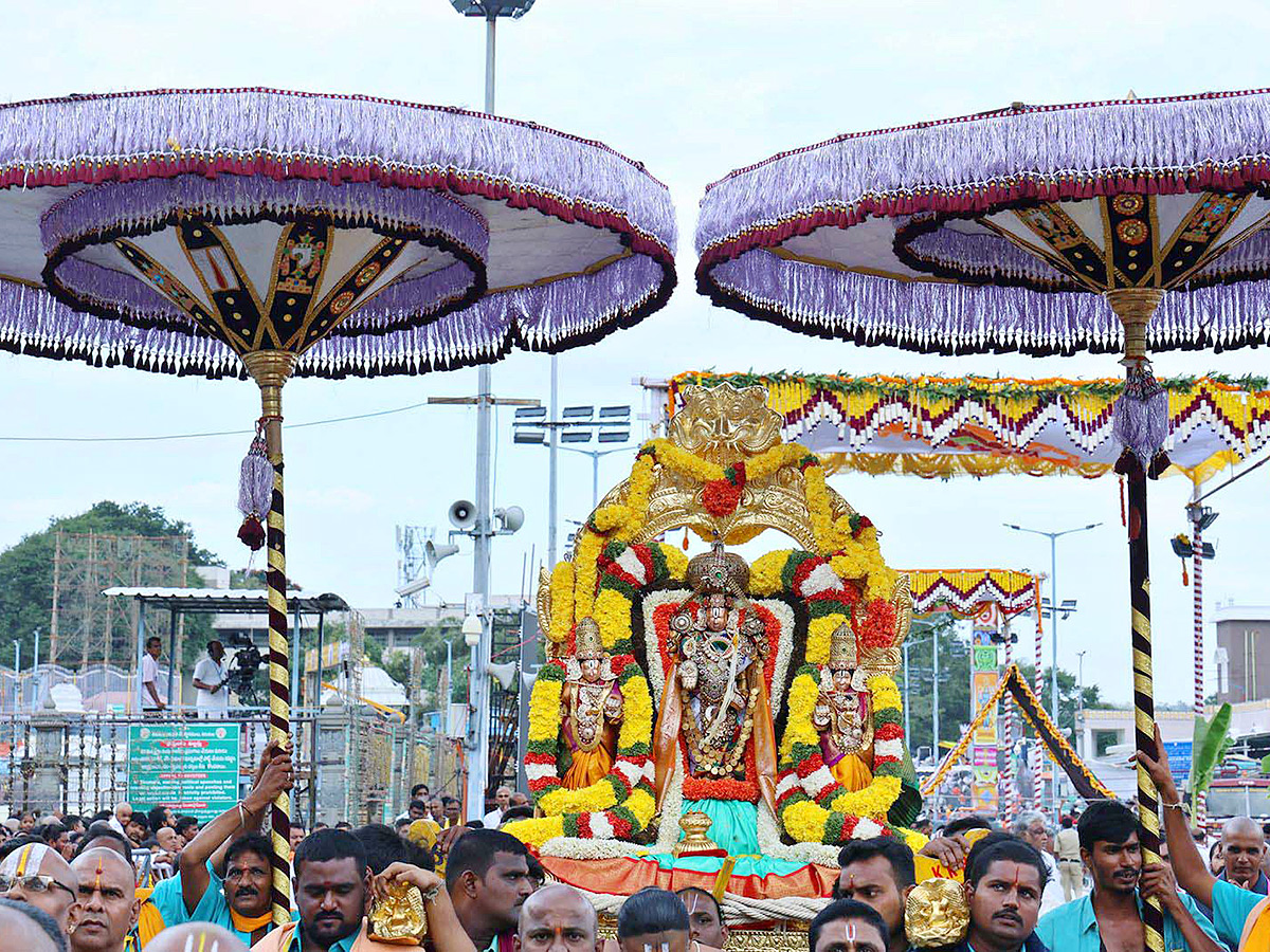 Tirumala Pedda Sesha Vahanam of Srivari Salakatla Brahmotsavams20